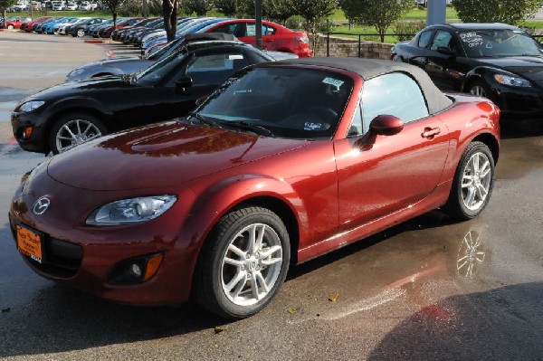 Sunday At The Car Lot(s) - Georgetown, Texas