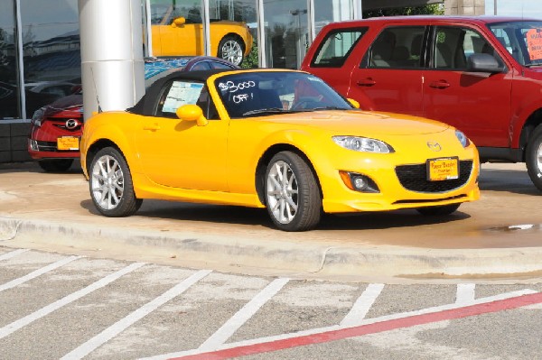 Sunday At The Car Lot(s) - Georgetown, Texas