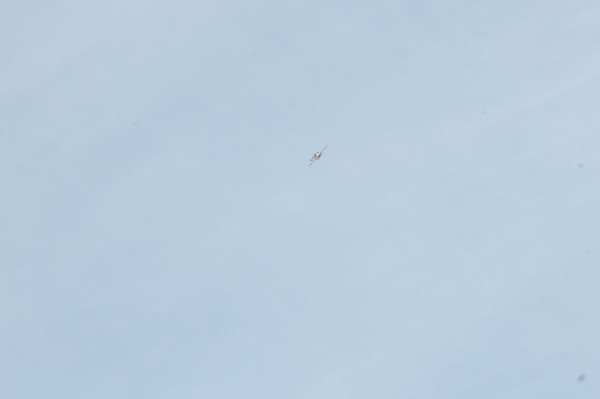 Airplane pics from the Temple Texas Airshow 2007